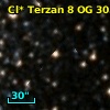 Cl* Terzan    8     OG     305