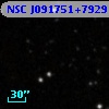 NSC J091751+792910