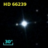 HD  66239