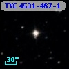 TYC 4531-487-1