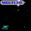 NOGG P1  339