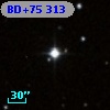 BD+75   313