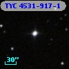 TYC 4531-917-1