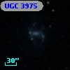 UGC  3975
