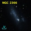 NGC  2366