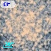 Cl* NGC 6809  MFRBS       1