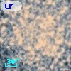 Cl* NGC 6809  MFRBS       7