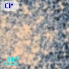Cl* NGC 6809  MFRBS      15