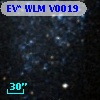 EV* WLM V0019
