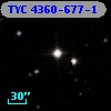 TYC 4360-677-1
