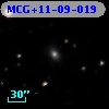 MCG+11-09-019