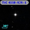 TYC 4110-828-1