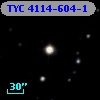 TYC 4114-604-1