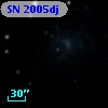 SN 2005dj