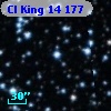 Cl King   14   177