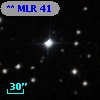 ** MLR    41