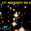 Cl* NGC 2437     SN      35