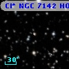 Cl* NGC 7142   HOAG      16