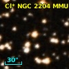 Cl* NGC 2204    MMU    1133