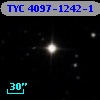 TYC 4097-1242-1