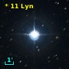 *  11 Lyn