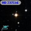 HD 237516