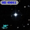 HD  49081