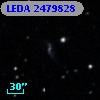 LEDA 2479828