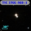 TYC 3766-960-1