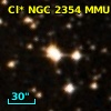 Cl* NGC 2354    MMU      91