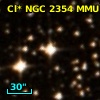 Cl* NGC 2354    MMU     113