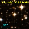 Cl* NGC 2354    MMU     167
