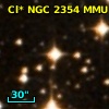 Cl* NGC 2354    MMU     183