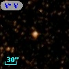 V* V1291 Sco