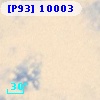 [P93] 10003