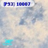 [P93] 10007