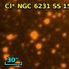 Cl* NGC 6231     SS     158