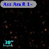 Ass Ara R   1-