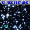 Cl* NGC 5617   LIND      16