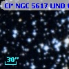 Cl* NGC 5617   LIND      62