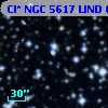Cl* NGC 5617   LIND      66