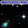 IRAS F17232+4531
