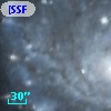 [SSF98] V8