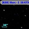 [K80] Herc-1 16479