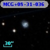 MCG+08-31-036