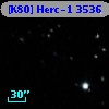 [K80] Herc-1  3536