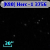 [K80] Herc-1  3756