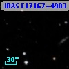 IRAS F17167+4903