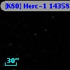 [K80] Herc-1 14358