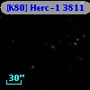 [K80] Herc-1  3811